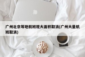 广州北京等地航班现大面积取消(广州大量航班取消)